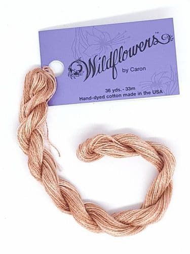 Caramel 171 Caron Wildflowers