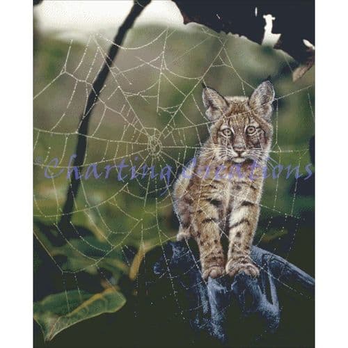 Charting Creations Inmate printed cross stitch chart