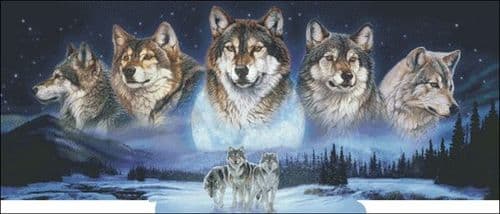 Charting Creations Moonlight Mystery printed cross stitch chart