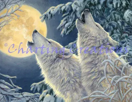 Charting Creations Moonlight printed cross stitch chart