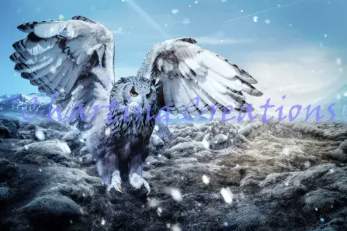 Charting Creations Northern Flight printed cross stitch chart