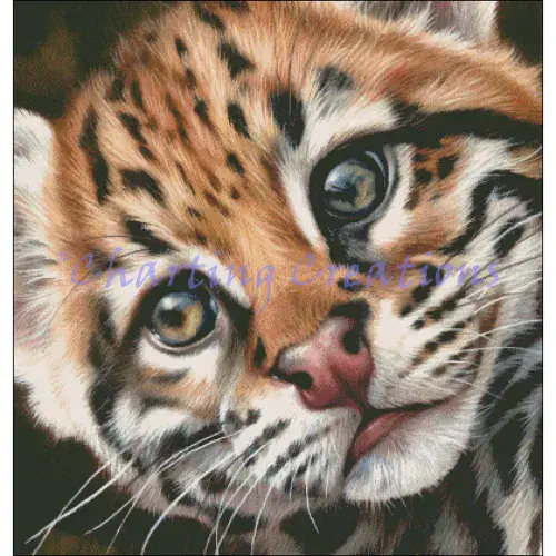 Charting Creations Ocelot Kitten printed cross stitch chart