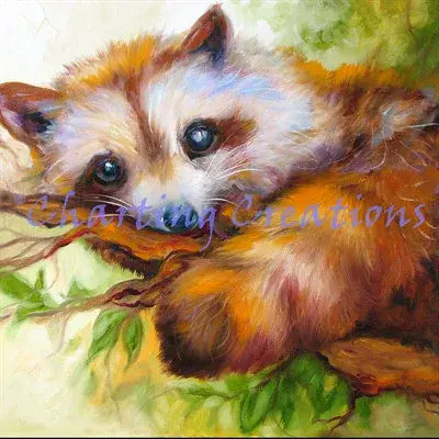 Charting Creations Raccoon Eyes printed cross stitch chart