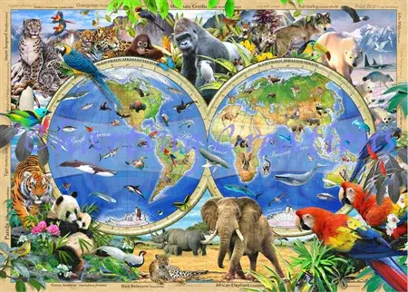 Charting Creations Rare and Endangered printed cross stitch chart