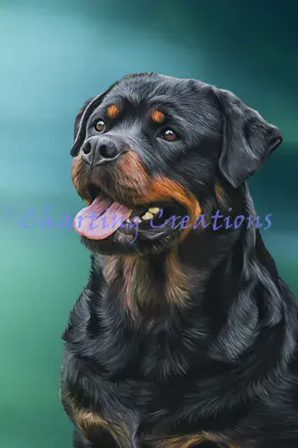 Charting Creations Rottweiler Portrait printed cross stitch chart