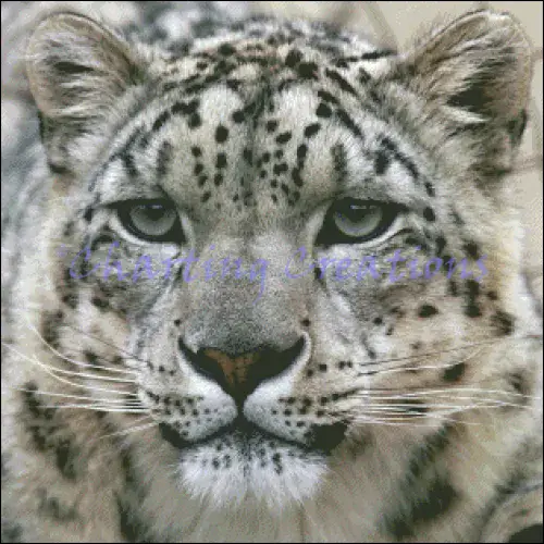 Charting Creations Small Snow Leopard Stare printed cross stitch chart