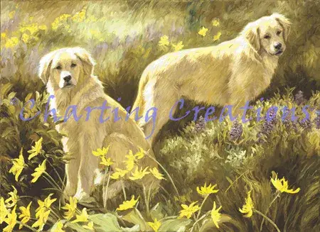 Charting Creations Summer Day printed cross stitch chart