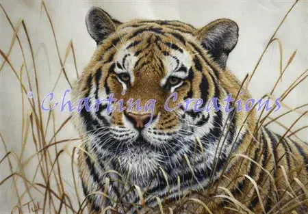 Charting Creations Tiger JT printed cross stitch chart