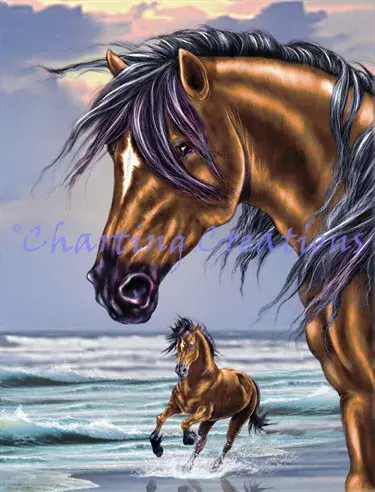 Charting Creations Wave Runners printed cross stitch chart