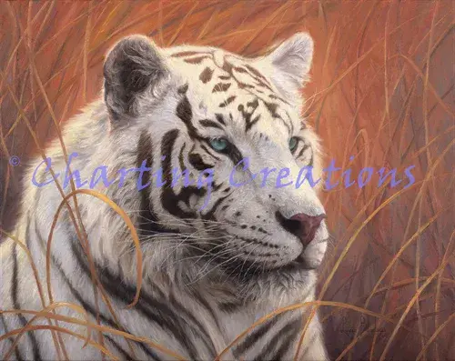 Charting Creations White Tiger Portrait printed cross stitch chart