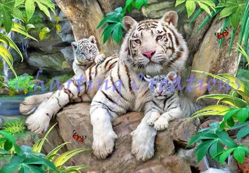 Charting Creations White Tigers of Bengal printed cross stitch chart