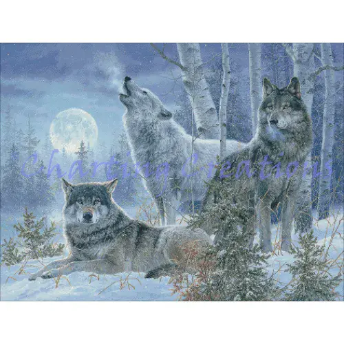 Charting Creations Winter Moonrise printed cross stitch chart