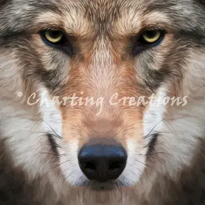Charting Creations Wolf Stare printed cross stitch chart