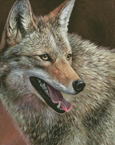 Coyote Profile by Artecy printed cross stitch chart