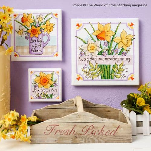 Daffodil Canvases WOXS Issue 357 project pack