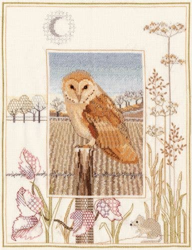 Derwentwater Designs Barn Owl cross stitch kit