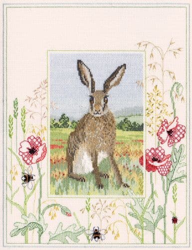 Derwentwater Designs Hare cross stitch kit