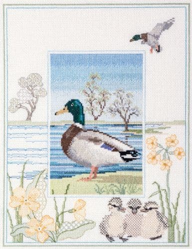 Derwentwater Designs Mallard cross stitch kit