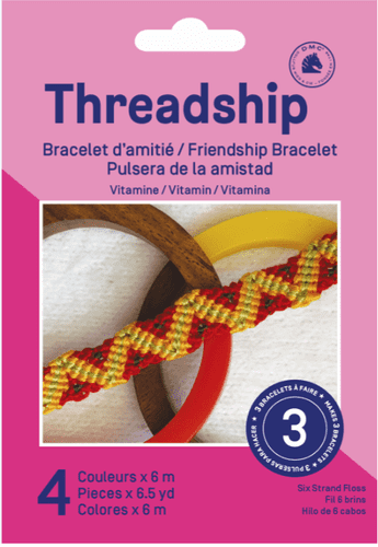 DMC Threadship - 3 Bracelet Starter Pack - Vitamin (Six Strand Floss - 4 Colours)