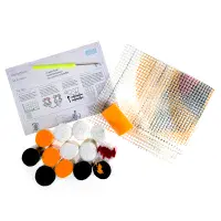 Face Latch Hook Kit