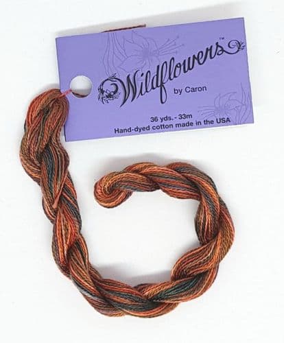 Fiesta 010 Caron Wildflowers