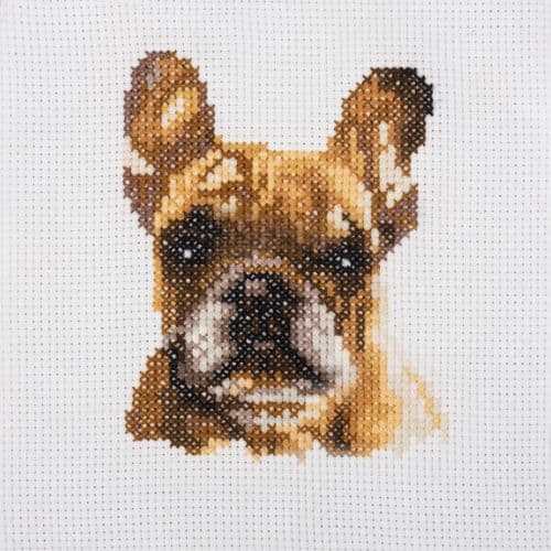 French Bulldog Mini cross stitch kit