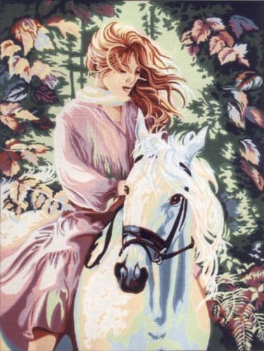 Gobelin-L Red Rider Tapestry Canvas