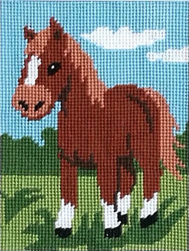 Gobelin Pony Tapestry Kit
