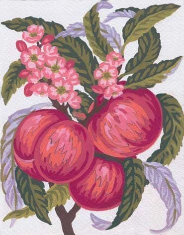Grafitec Apples and Blossom Tapestry Canvas