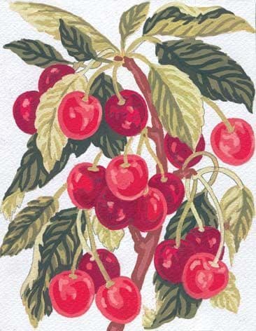 Grafitec Cherries Tapestry Canvas
