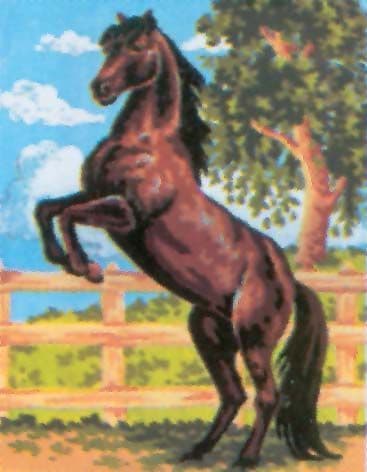 Grafitec Horse Tapestry Canvas