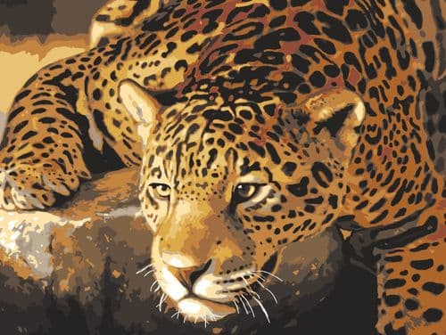 Grafitec Jaguar Prowl Tapestry Canvas