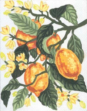 Grafitec Lemons Tapestry Canvas