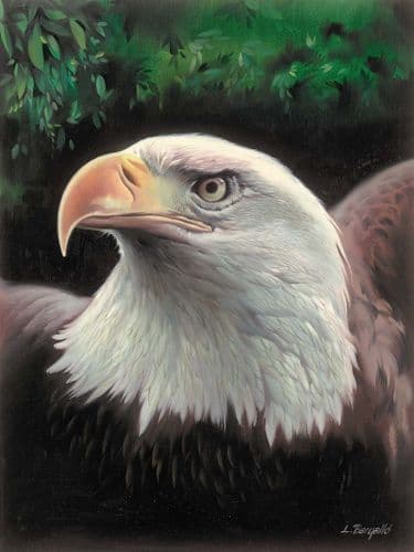 Grafitec Majestic EagleTapestry Canvas