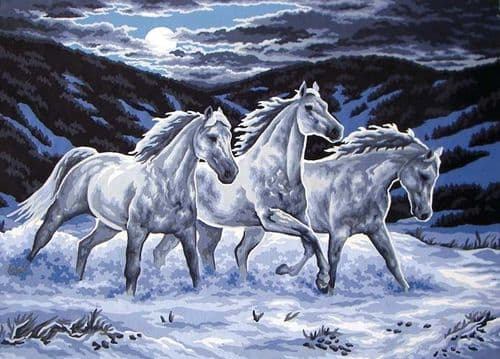 Grafitec Midnight Stallions Tapestry Canvas