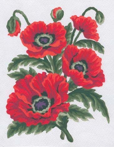 Grafitec Poppies Tapestry Canvas B
