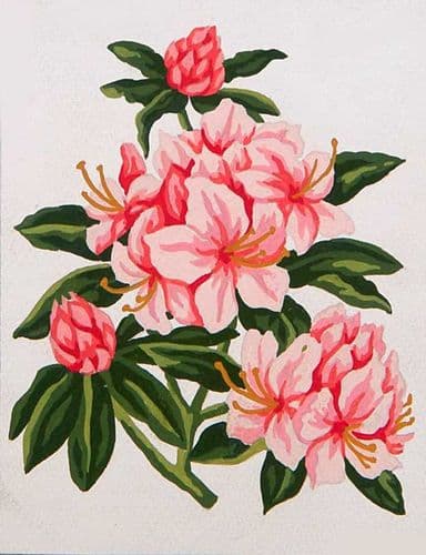 Grafitec Pretty Pinks Tapestry Canvas