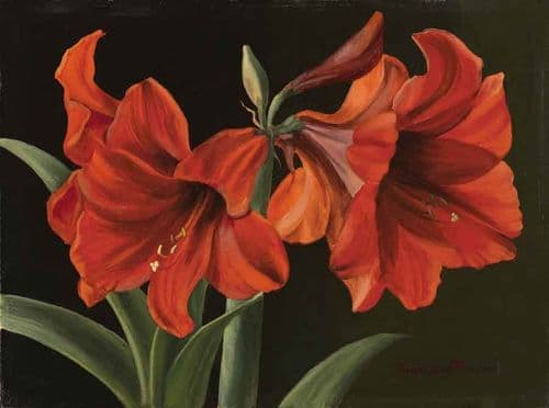 Grafitec Red Trumpet Flowers Tapestry Canvas