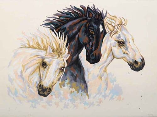 Grafitec Wild Stallions Tapestry Canvas