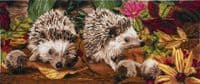Hedgehogs cross stitch kit Large