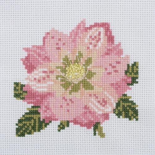 Helleborus Mini cross stitch kit