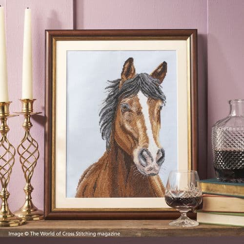 Horse Portrait WOXS Issue 334 project pack