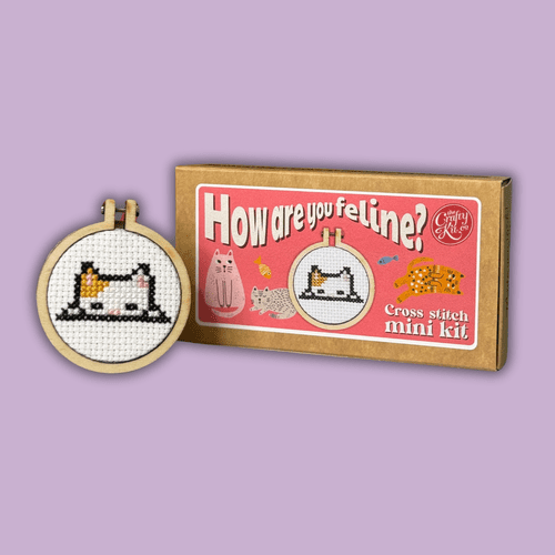 How Are You Feline? Matchbox Mini Cross Stitch Kit