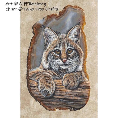 Little Bobby (Bobcat) (Cliff Rossberg) by Paine Free Crafts printed cross stitch chart