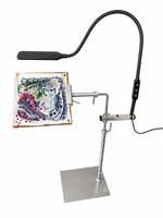 Lumina Lamp