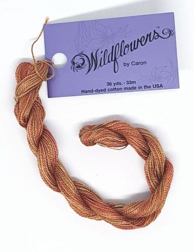 Marigold 052 Caron Wildflowers