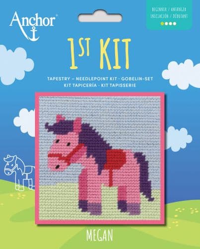 Megan 1st Kit Tapestry Kit by Anchor