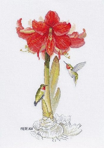 Merejka Amaryllis cross stitch kit