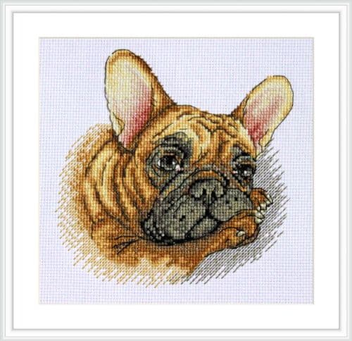 Merejka French Bulldog cross stitch kit