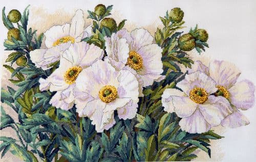 Merejka Garden Beauties cross stitch kit